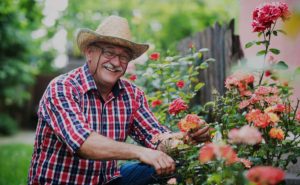 Man smiling while gardening flowers