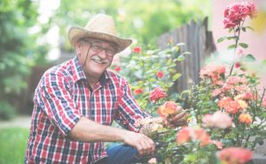 Elderly man smiling while gardening flowers