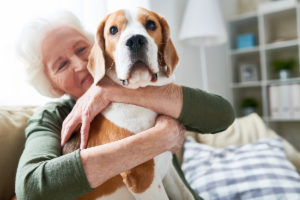 Home Care Services in Blaine MN: Senior Pets