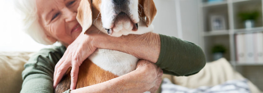Home Care Services in Blaine MN: Senior Pets