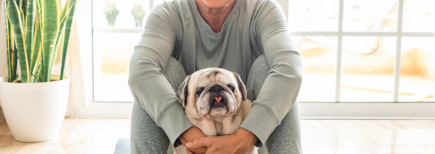 In-home care can help your senior loved one care for their dog.