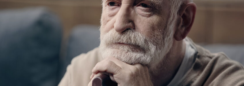 Home care assistance brings companionship and connection to seniors daily